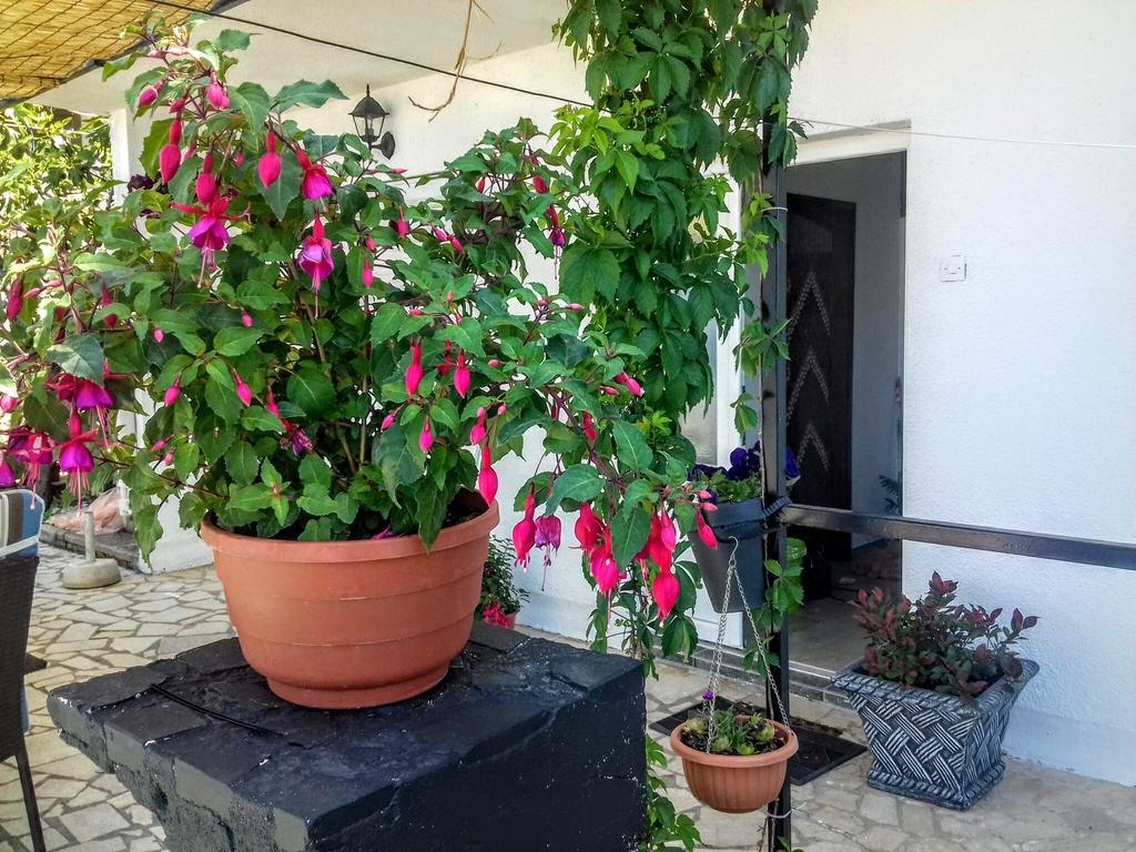 Apartment Little Princess Dora Senj  Exterior photo